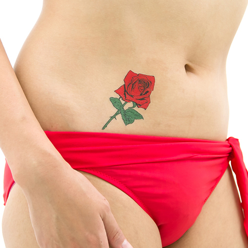 �^�g�D�[�V�[���@�K�N���