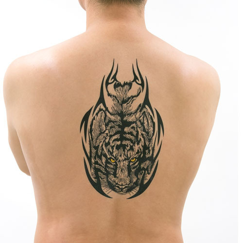 �^�g�D�[�V�[���@�^�C�K�[�g���C�o��