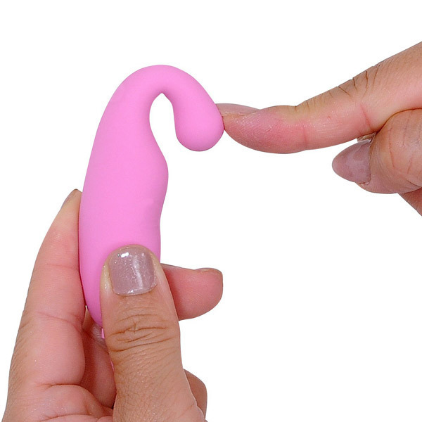 �v�������@�i�s���N�j