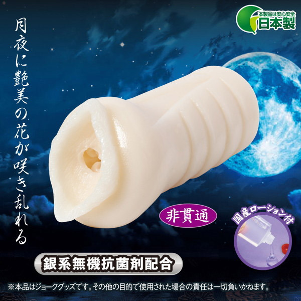 �~�j����@�i���؁j