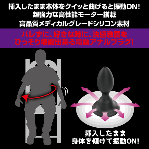 �v���e�B���u�@�i�v�b�V���g���K�[�o�C�u���[�V�����v���O�j