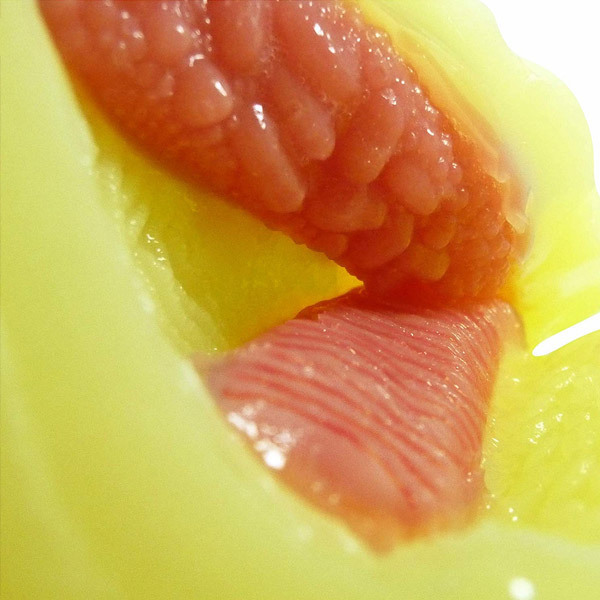 �_�u���t�F�����`�I