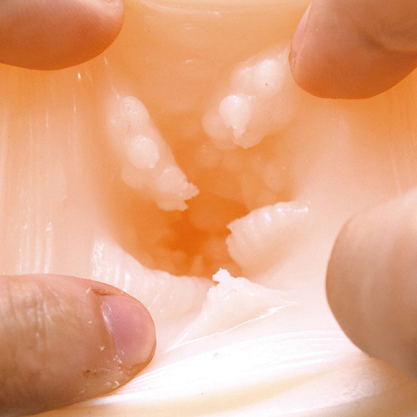 ���R�m�a�����������@�r�������v���~�A���z�[���@�i�T���A�j