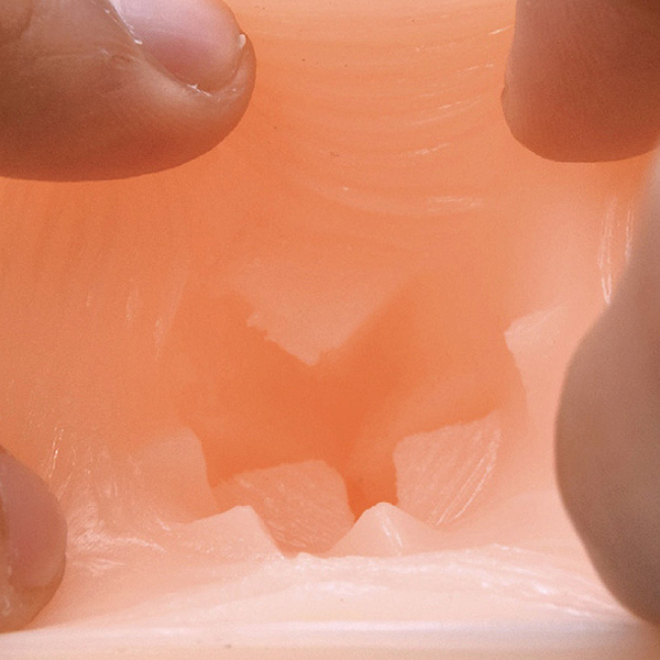 ���R�m�a�����������@�r�������v���~�A���z�[���@�i���[�[�j