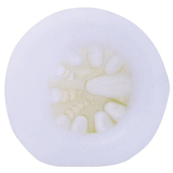 ���t���C�t