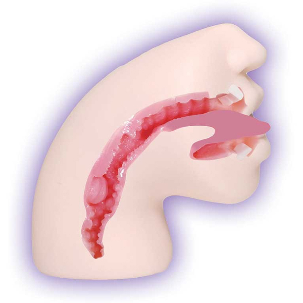 �C�C�I���i�@�t�F������B�g�V�F�M�i�`�Z�|��D���j