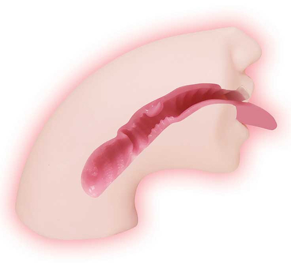 �C�C�I���i�@�t�F������B�엜���ށi�`�Z�|��D���j