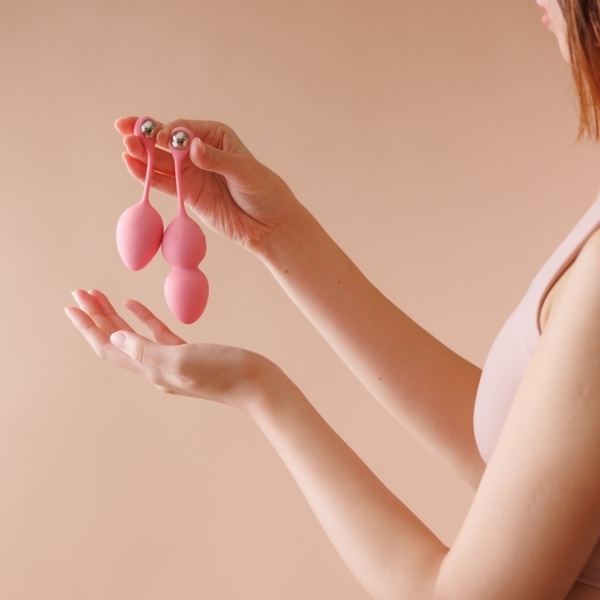 �t�F�~���C�g�@�j���������@�g�����i�P�[�Q���z�b�g�j