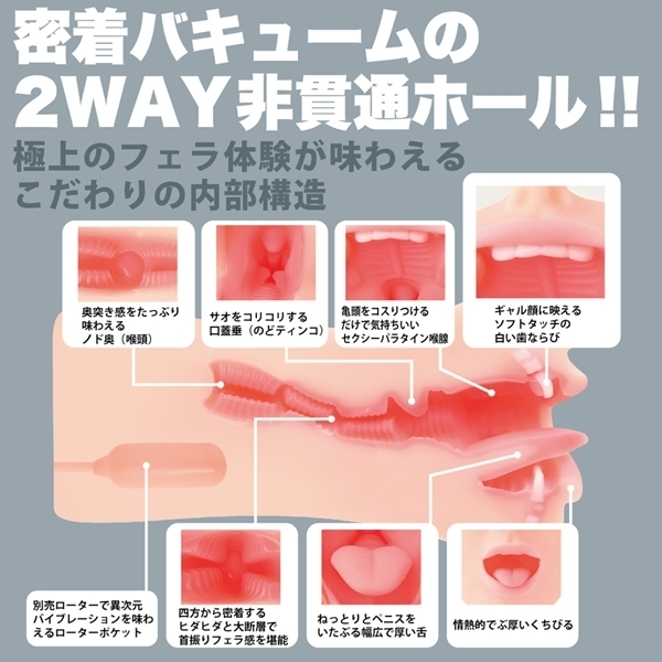 _tF@NVbN@i؁@蓮j
