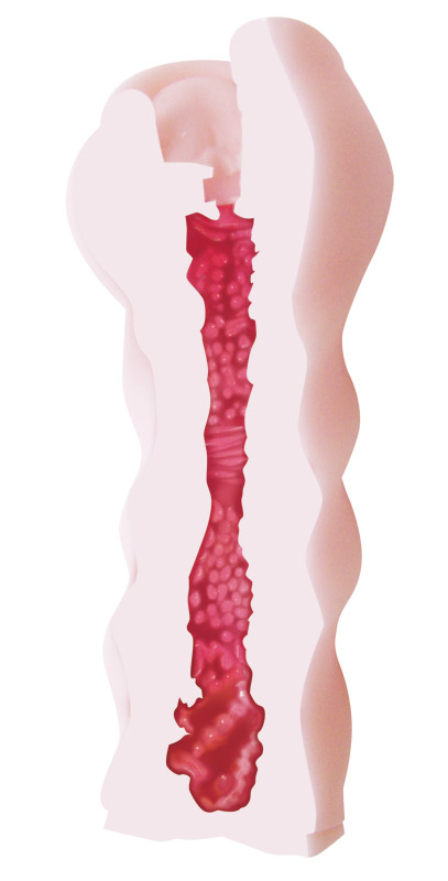 �A�}�t�F���@�i�o�L���[���j