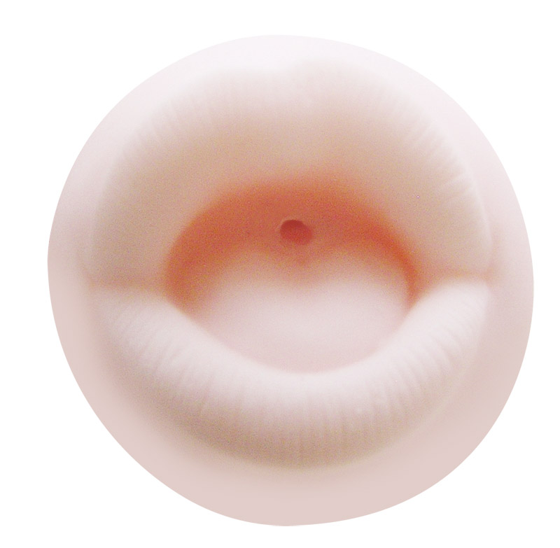 �A�}�t�F���@�i�o�L���[���j