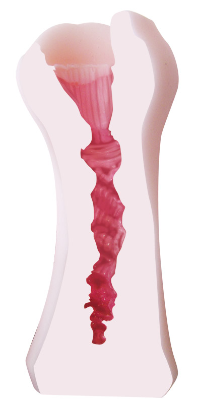 �A�}�t�F���@�i���[�Y�j