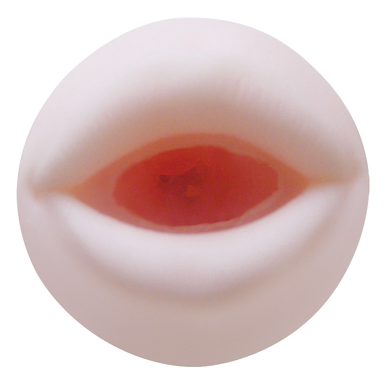 �A�}�t�F���@�i���[�Y�j