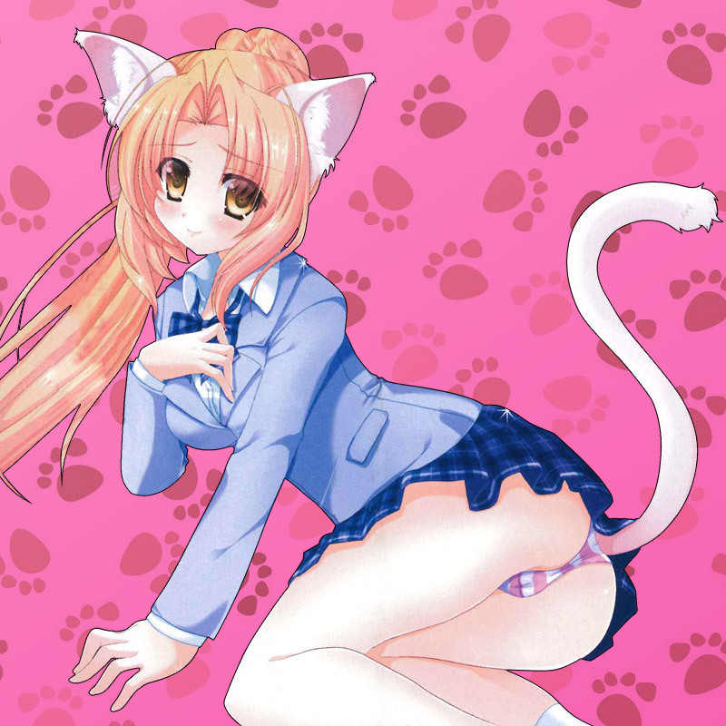 �{�N�̂��Ȃ؂��Ɓ@�R