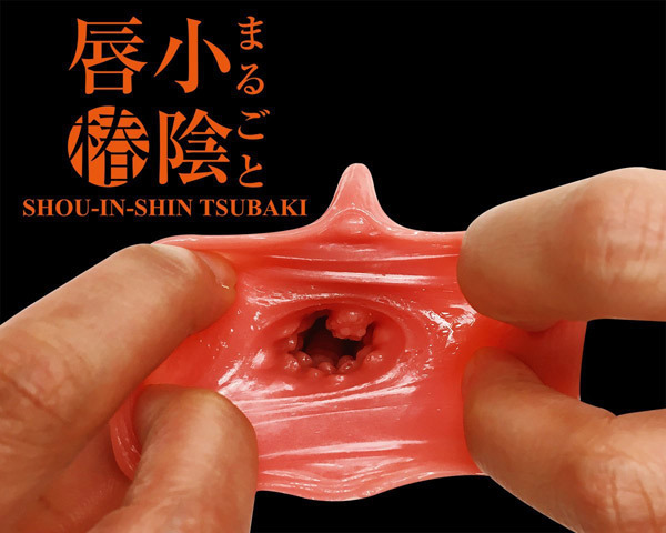 �܂邲�Ə��A�O�@�i�ցj