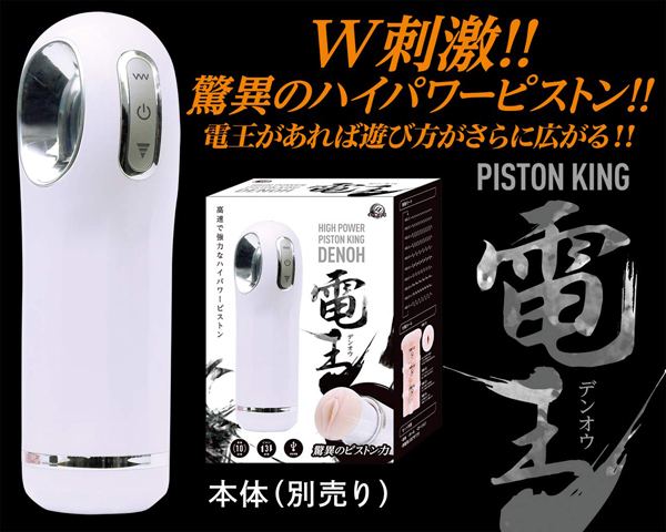 �s�X�g���L���O�d���@��p�z�[���@�i�Q�j