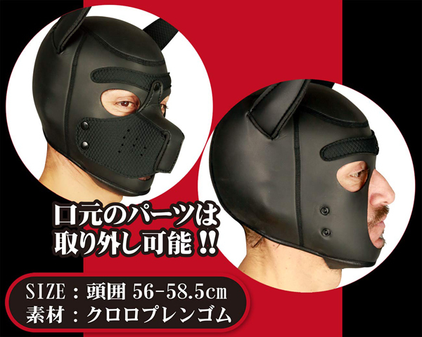 �A�j�}���}�X�N