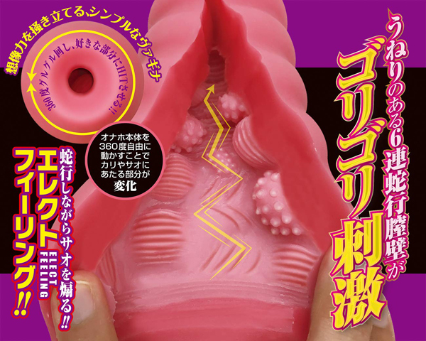 �U�A�֍s�S�ǁi�N�����N�j�@�J���Ӄx���A��