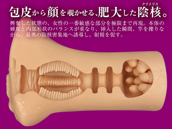 �܂邲�ƉA�j�@�i�N���g���X�j