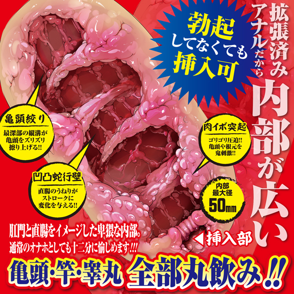 �g���I�I�A�i�����q