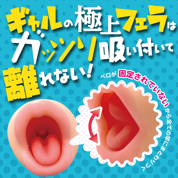 �M��������܂��@�t�F���@�i�Z����݃x���j