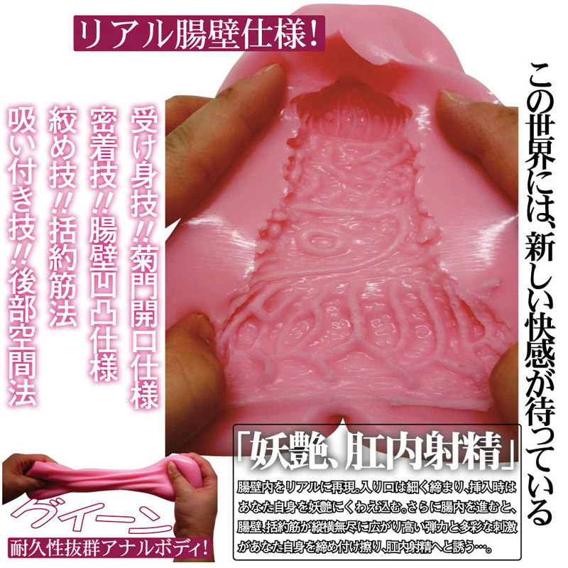 �A�i���w�l�@�r�����h