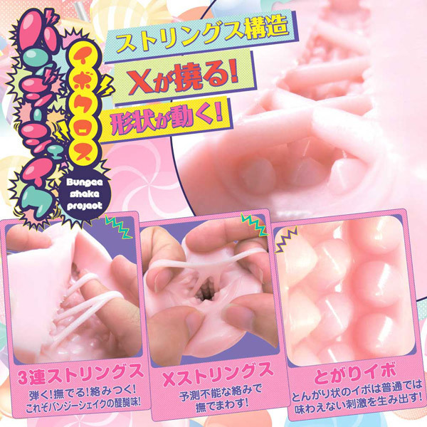 �o���W�[�V�F�C�N�@�i�C�{�N���X�j