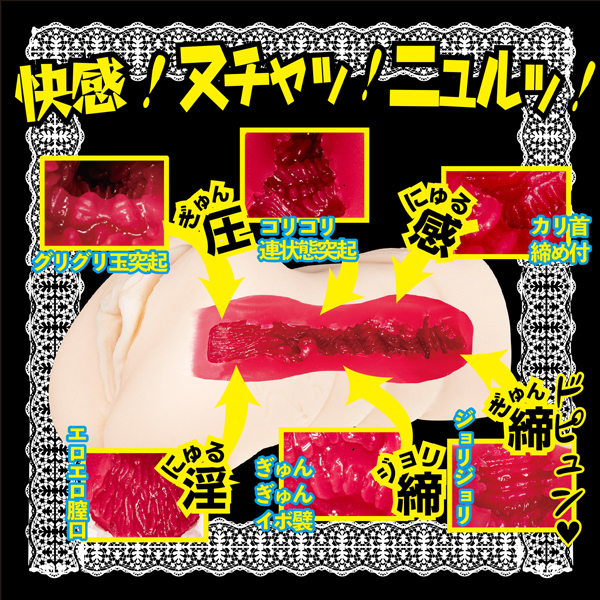 ���l���C�h�@����ő��n������d�I�@�i�[�c�����݁j