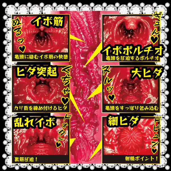 ���l���C�h�@����ő��n������d�I�@�i���؂������j