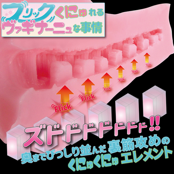 �q�_���t���b�N���@�M�i�[�j��