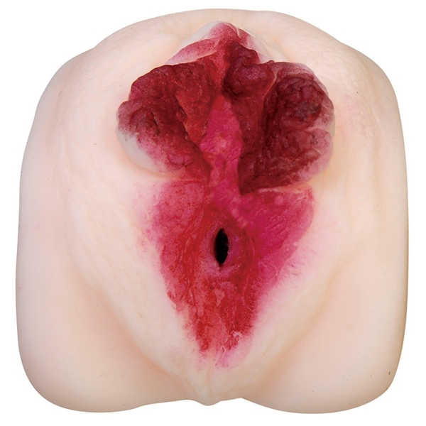 �n���̐��@�i�ēc�痢�̉A�����S���v���J�j