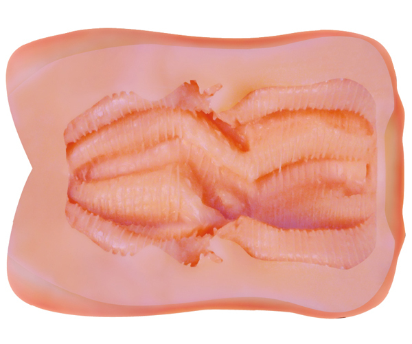 �ɑ��q�_��]�I�w�u���Y�g���l�[�h