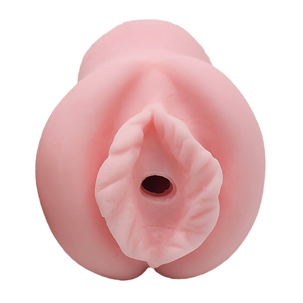 �`�h���@�[�W���@�N���X�t�F���_�[