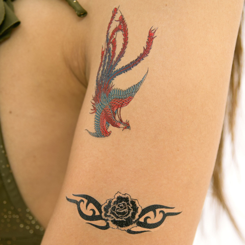 �y�P�W�O�~�����ʌ���z�^�g�D�[�V�[���@�ԖP���~�j������l�l�P�_���聄