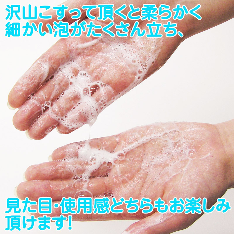 yTPO~ʌzɃtF@΃RL@QVOllP_聄