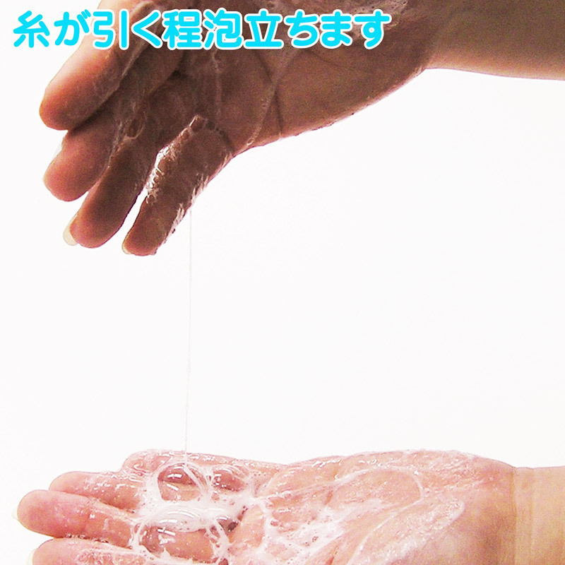 yTPO~ʌzɃtF@΃RL@QVOllP_聄