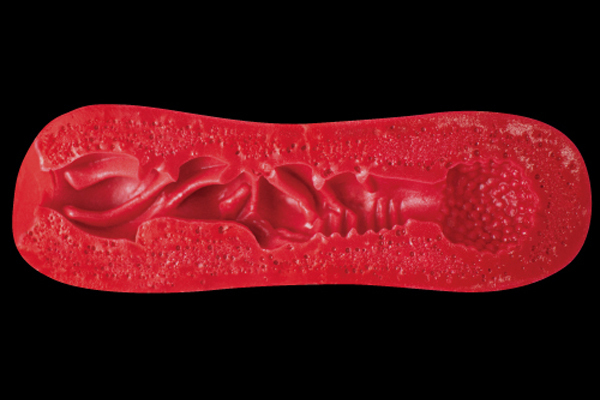 �r�h�|�w�@�s�������D�b�i�V�b�N�X�@�^�C�v�V�[�j