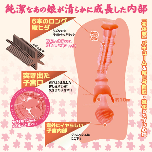 �����̃~�c�c�{�@�i�i���j