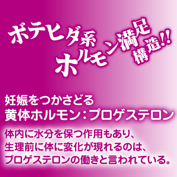 �����@�`�s�܂��z�������`