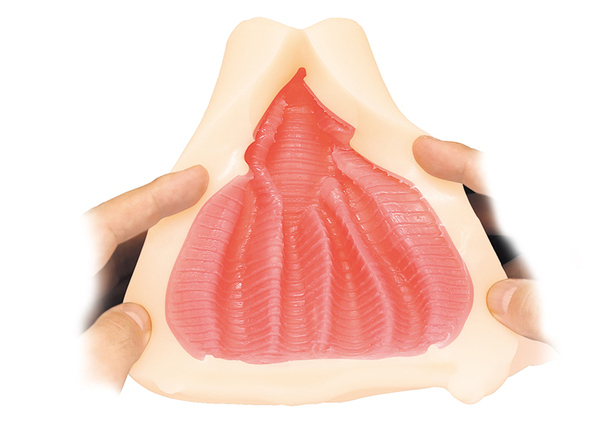 ���֊�Ɖ������N���X�ψ���