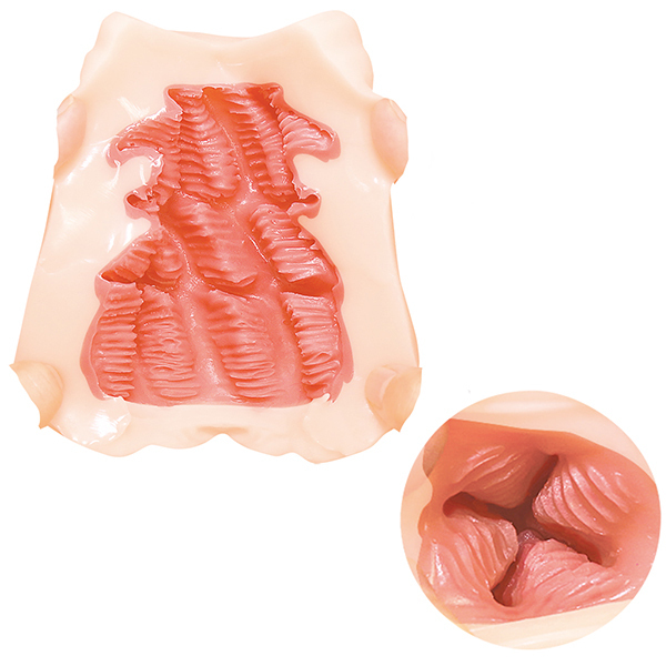 �s�`�l�`�@�o�q�d�l�h�t�l�@�g�f�@�O�P