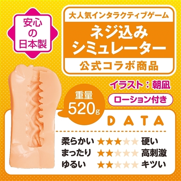 �l�W���݃V�~�����[�^�[�@�s�g�d�@�g�n�k�d�@�����_�V��