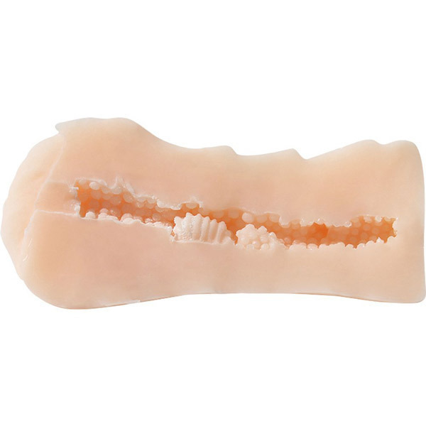 �������@�o�q�d�l�h�t�l�@�g�n�k�d�@�i�g���쌋�߁j