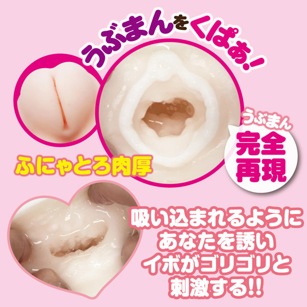 �ӂɂ�ۂɂ�@�W���j�A�@�Ɂ@�i�z�[���j