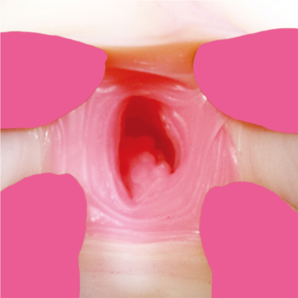 �ɏ㐶����@���{����́@�i�z�[���P�i�j