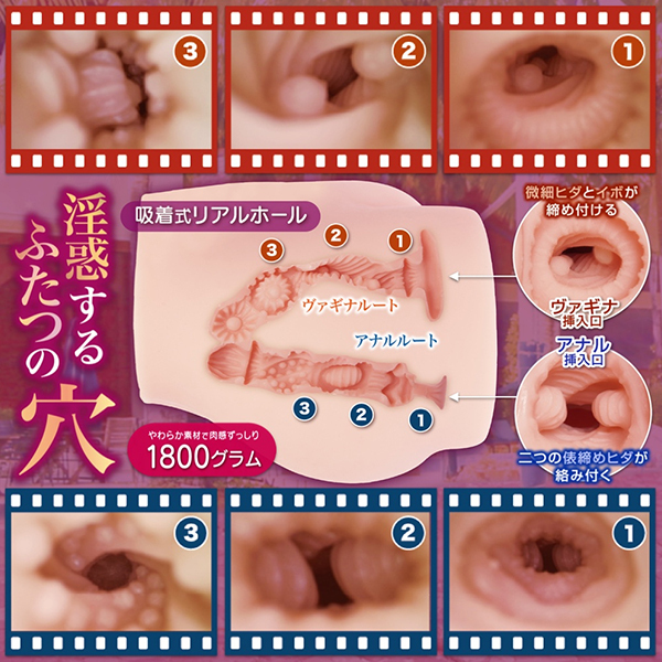 ���f�}�[���C�h�@�i��@�r�n�e�s�j