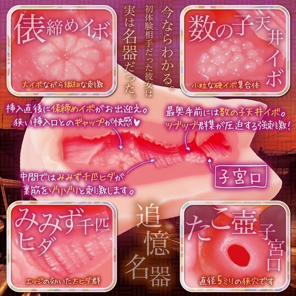 �v�t���J���i���@��